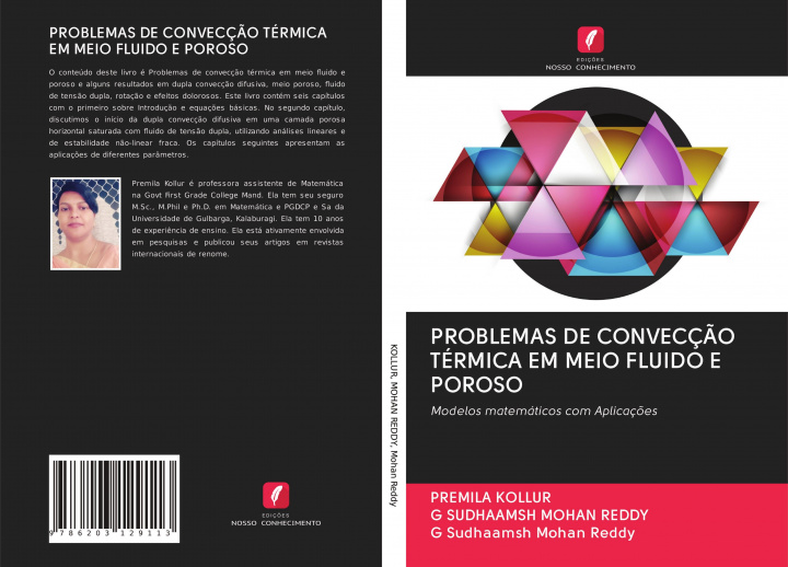 Boek Problemas de Conveccao Termica Em Meio Fluido E Poroso PREMILA KOLLUR