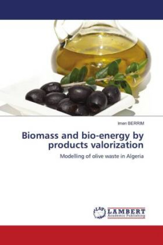 Boek Biomass and bio-energy by products valorization BERRIM Imen BERRIM