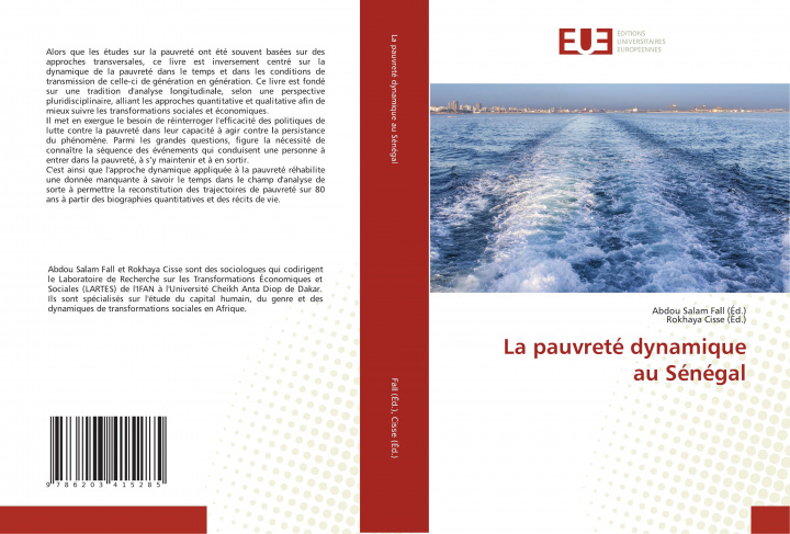Kniha pauvrete dynamique au Senegal ABDOU SA FALL   D.