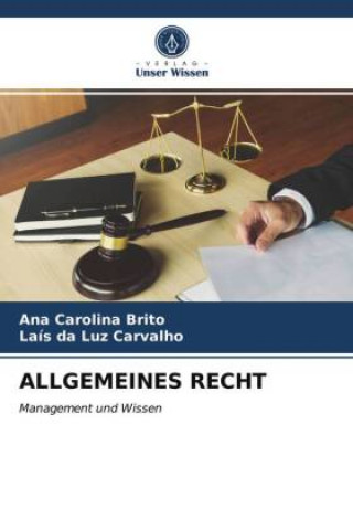 Kniha Allgemeines Recht Brito Ana Carolina Brito