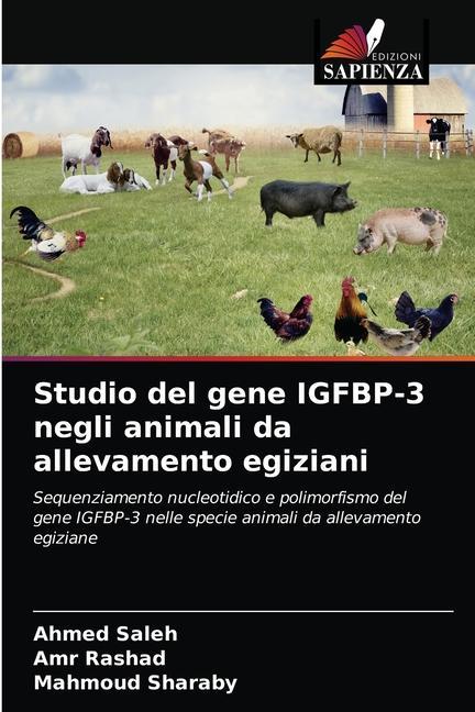 Kniha Studio del gene IGFBP-3 negli animali da allevamento egiziani Saleh Ahmed Saleh