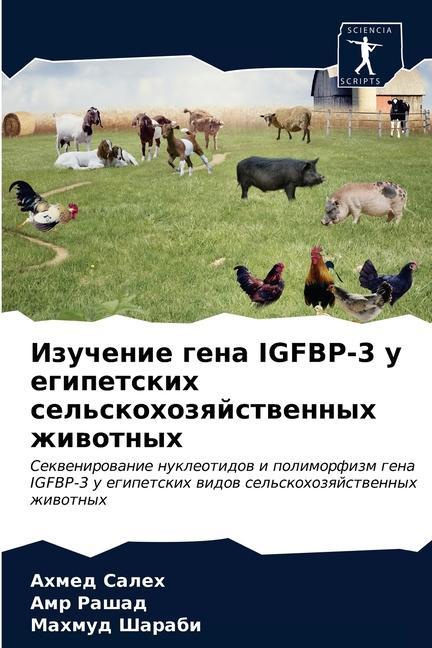 Libro Изучение гена Igfbp-3 у египетс Ð¡Ð°Ð»ÐµÑ… ÐÑ…Ð¼ÐµÐ´ Ð¡Ð°Ð»ÐµÑ…