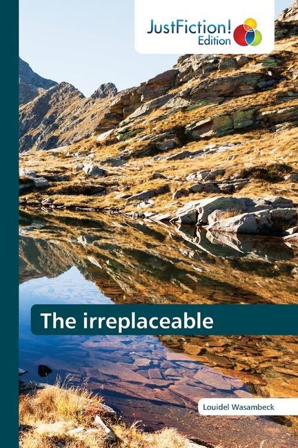 Libro irreplaceable LOUIDEL WASAMBECK