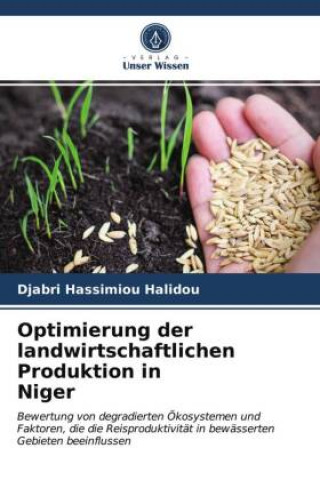 Kniha Optimierung der landwirtschaftlichen Produktion in Niger Hassimiou Halidou Djabri Hassimiou Halidou