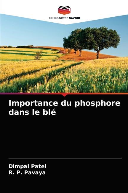 Könyv Importance du phosphore dans le ble Patel Dimpal Patel