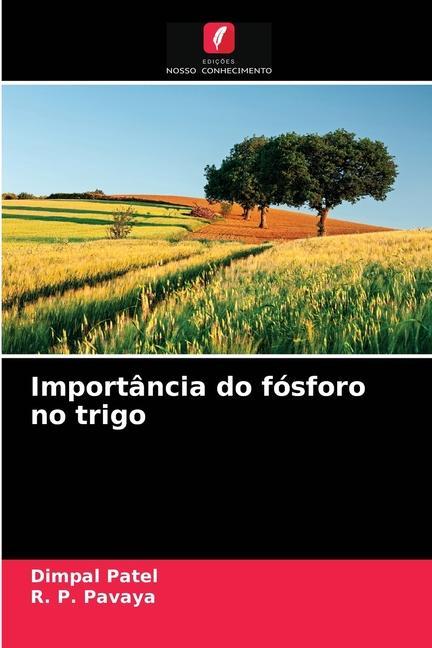 Kniha Importancia do fosforo no trigo Patel Dimpal Patel