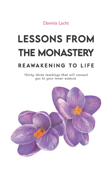 Knjiga Lessons from the Monastery Lacht Davinia Lacht