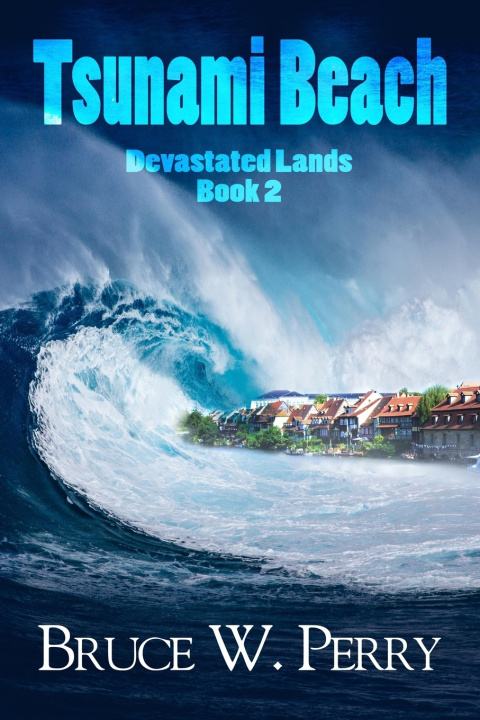Libro Tsunami Beach Perry Bruce W. Perry