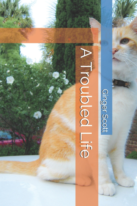 Книга Troubled Life Scott John Scott