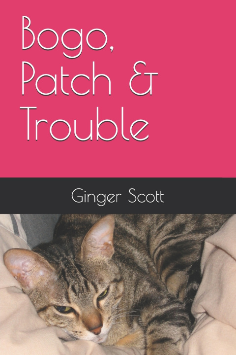 Book Bogo, Patch & Trouble Scott Ginger Scott