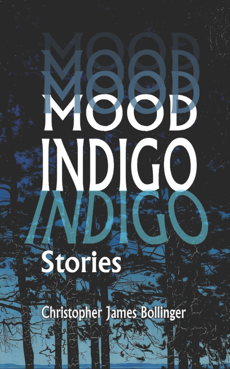 Buch Mood Indigo Christopher James Bollinger