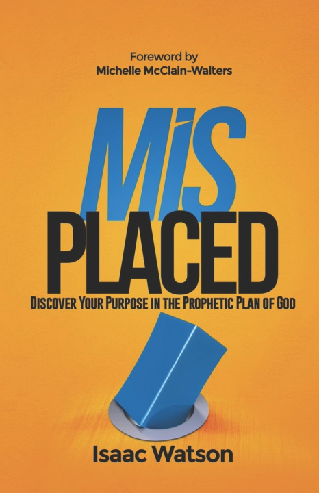 Buch Misplaced Michelle McClain Walters
