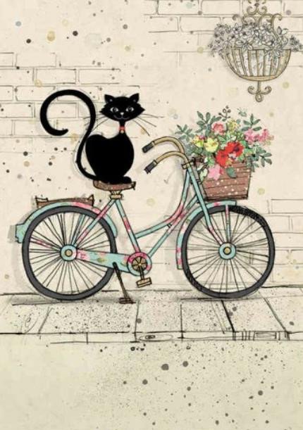 Kniha Přání BUG ART - Kočka na kole 