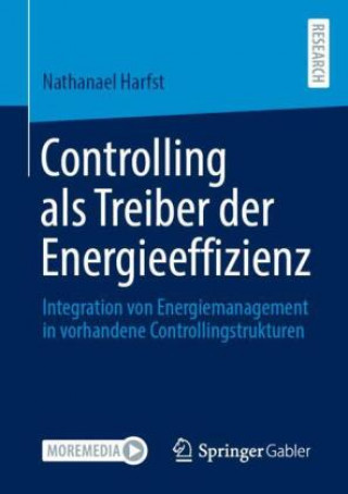 Kniha Controlling ALS Treiber Der Energieeffizienz 