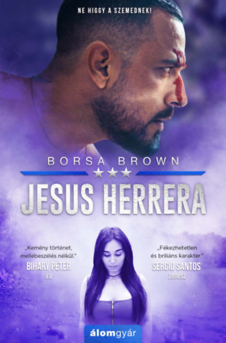 Kniha Jesus Herrera Borsa Brown