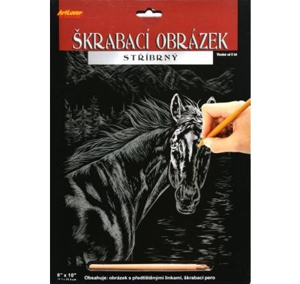 Kniha ArtLover Sada Škrabací obrázek - stříbrný 20,3 x 25,4 cm/mix 3 motivů 