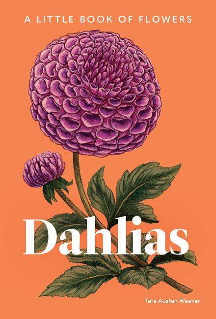 Carte Dahlias 