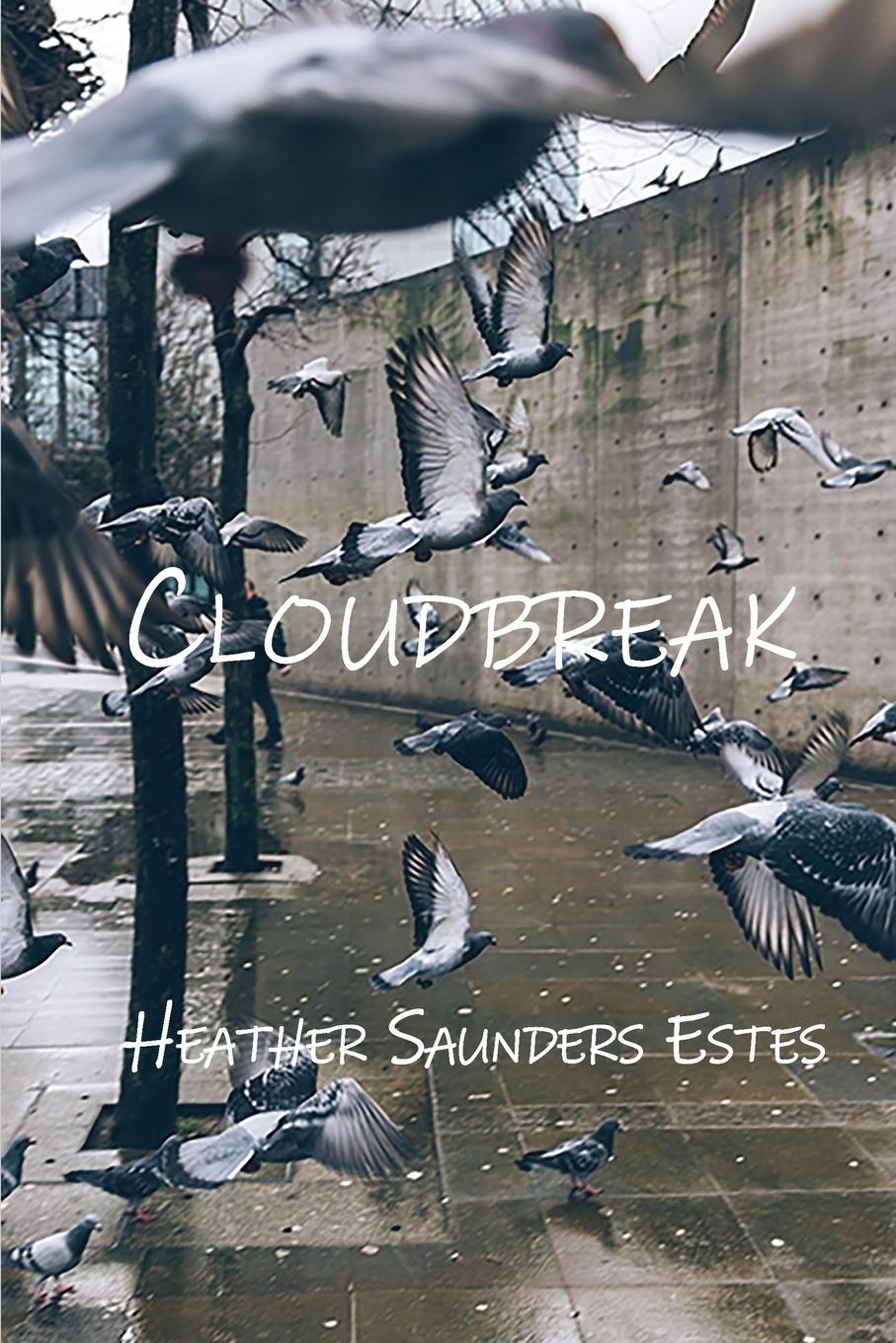Book Cloudbreak Heather Saunders Estes