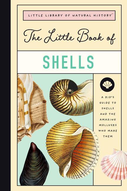 Kniha LITTLE BOOK OF SHELLS 