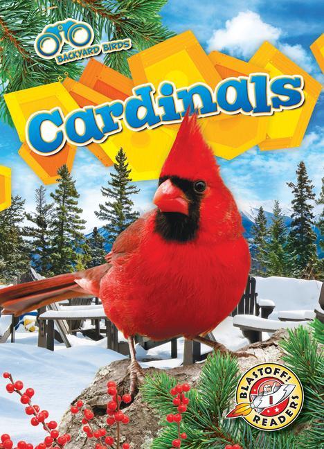 Libro Cardinals 