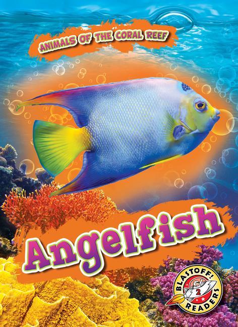 Book Angelfish Kate Moening