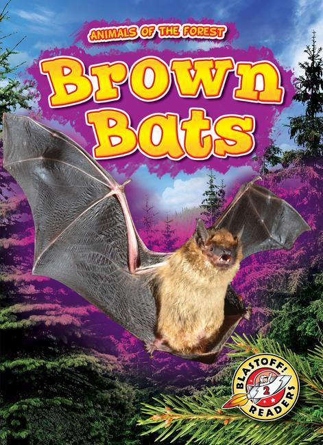 Kniha Brown Bats 