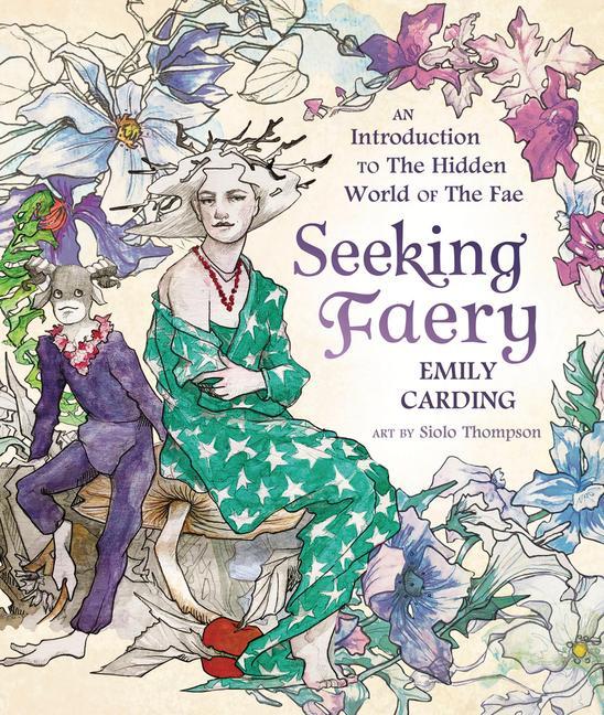 Kniha Seeking Faery 