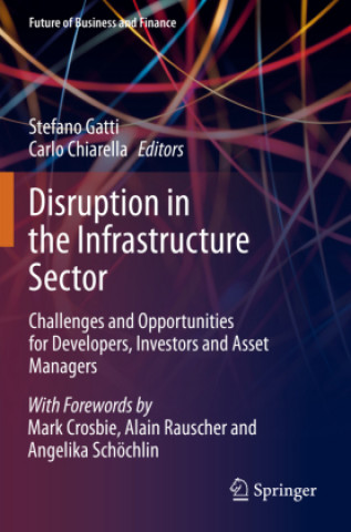 Kniha Disruption in the Infrastructure Sector Stefano Gatti