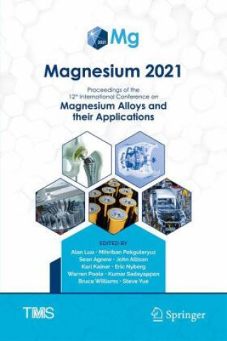 Kniha Magnesium 2021 Karl Kainer