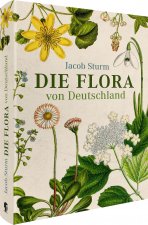 Carte Jacob Sturm - Die Flora von Deutschland Oliver Tackenberg