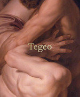 Knjiga RAFAEL TEGEO VVAA
