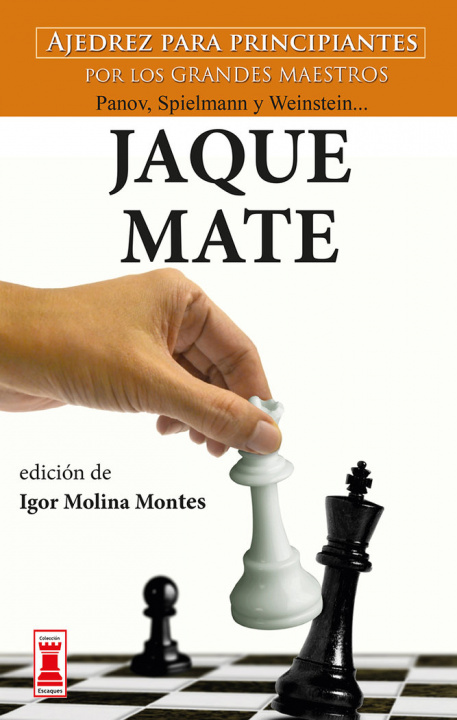 Kniha JAQUE MATE IGOR MOLINA MONTES