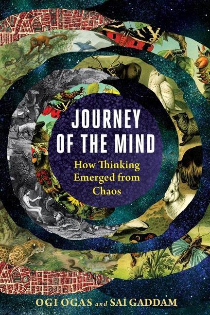 Kniha Journey of the Mind Ogi Ogas