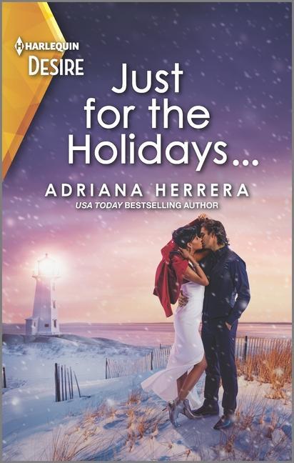 Kniha Just for the Holidays...: A Snowbound Christmas Romance 