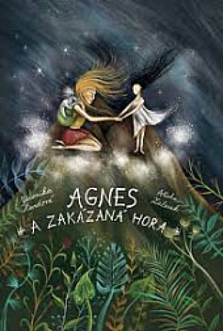 Könyv Agnes a Zakázaná hora Veronika Hurdová