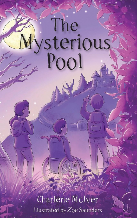 Buch Mysterious Pool Charlene McIver