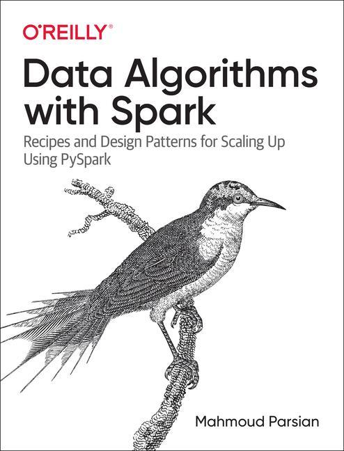 Kniha Data Algorithms with Spark Mahmoud Parsian