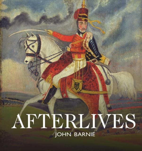 Book Aferlives John Barnie