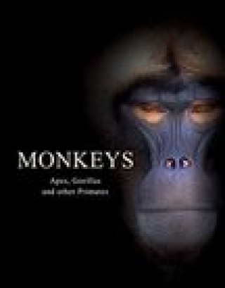 Kniha Monkeys 