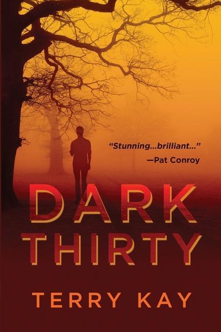 Kniha Dark Thirty Kay Terry Kay