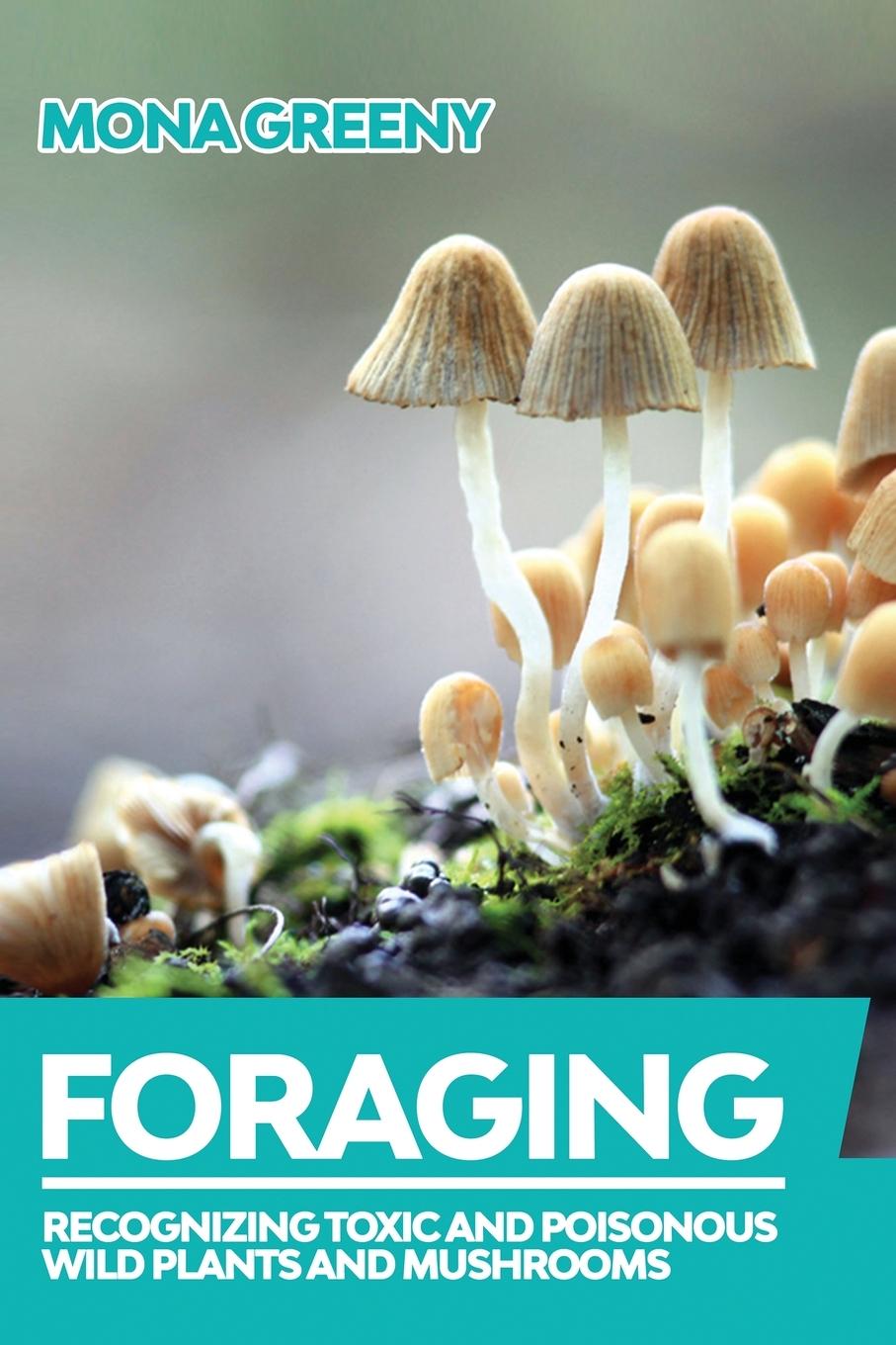 Knjiga Foraging Mona Greeny