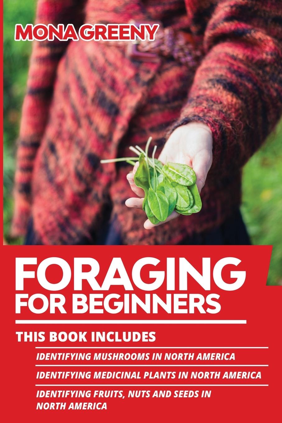 Buch Foraging For Beginners Mona Greeny