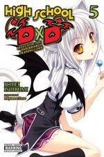 Carte High School DxD, Vol. 5 (light novel) Ichiei Ishibumi