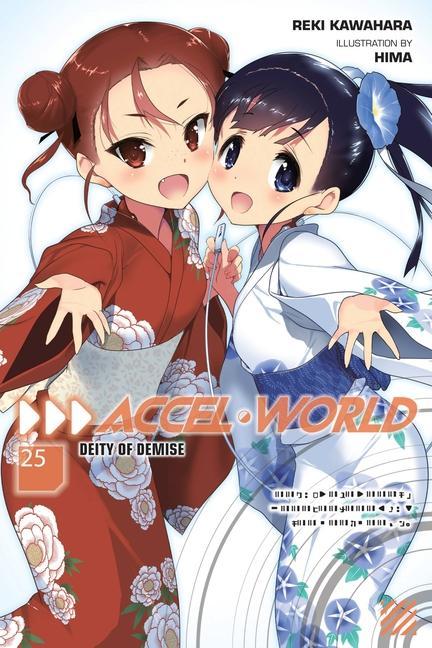Könyv Accel World, Vol. 25 (light novel) Reki Kawahara
