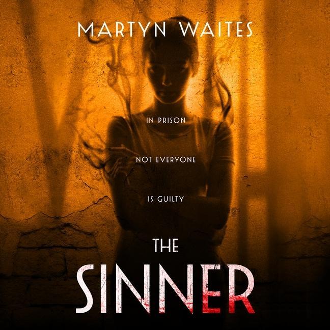 Audio The Sinner Lib/E Martyn Waites