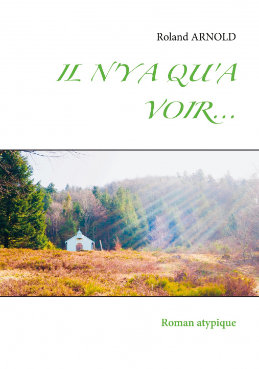 Knjiga Il n'y a Qu'a Voir... Editions Le Livre D'Or Les