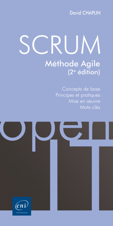 Könyv SCRUM  METHODE AGILE (2E EDITION) David CHAPLIN