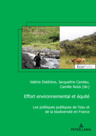 Kniha Effort environnemental et equite; Les politiques publiques de l'eau et de la biodiversite en France 
