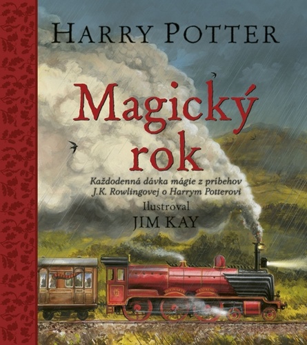 Książka Harry Potter Magický rok ROWLING J K