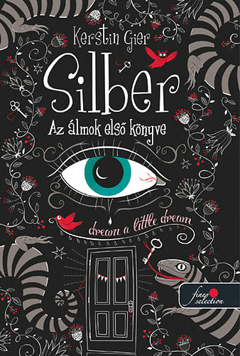 Könyv Silber - Az álmok első könyve Kerstin Gier